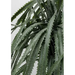 Plante décorative Dragon Tree 155cm