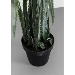 Plante décorative Dragon Tree 155cm