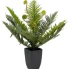 Plante décorative Farn 55cm