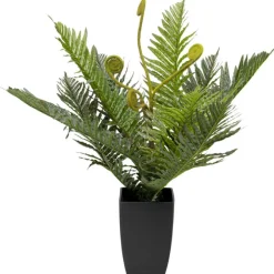 Plante décorative Farn 55cm