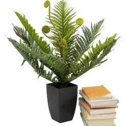 Plante décorative Farn 55cm