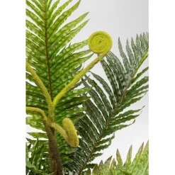 Plante décorative Farn 55cm