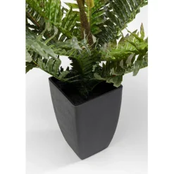 Plante décorative Farn 55cm