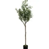 Plante décorative Olive Tree 150cm