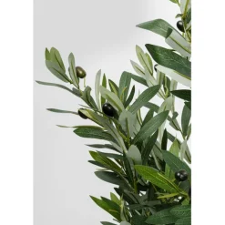 Plante décorative Olive Tree 150cm