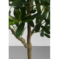 Plante décorative Olive Tree 150cm
