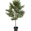 Plante décorative Olive Tree 120cm
