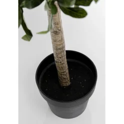 Plante décorative Olive Tree 120cm