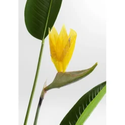 Plante décorative Paradise Flowers 190cm