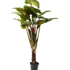 Plante décorative Rainbow Tree 160cm