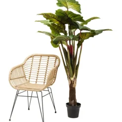 Plante décorative Rainbow Tree 160cm