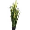 Plante décorative Rhynchostylis 150cm