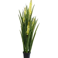 Plante décorative Rhynchostylis 150cm