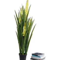 Plante décorative Rhynchostylis 150cm