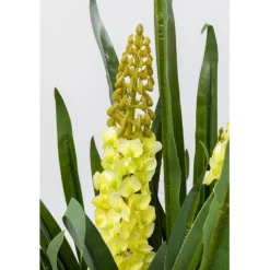 Plante décorative Rhynchostylis 150cm