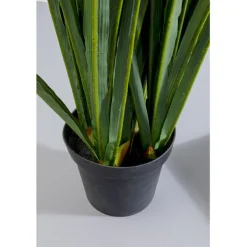 Plante décorative Rhynchostylis 150cm