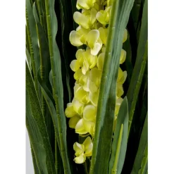 Plante décorative Rhynchostylis 150cm