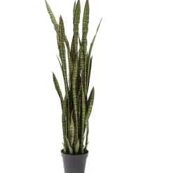 Plante décorative Sansewieria 155cm