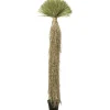 Plante décorative Yucca Rostrata 240cm