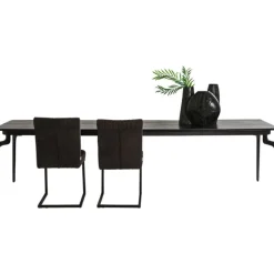Table Bug 300x90cm