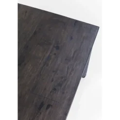Table Bug 300x90cm
