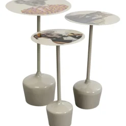 Table d appoint Business Animal (3/Set)