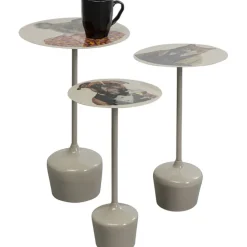 Table d appoint Business Animal (3/Set)