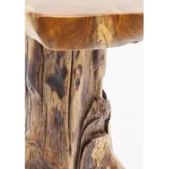 Table d appoint Tree PM nature