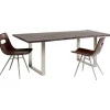 Table Harmony foncé chromé 200x100cm