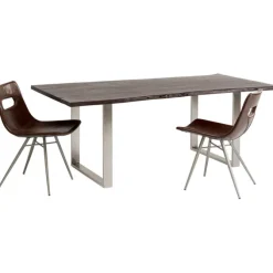 Table Harmony foncé chromé 200x100cm