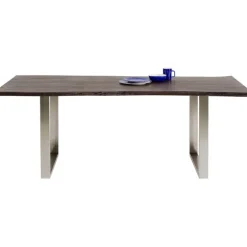 Table Harmony foncé chromé 200x100cm