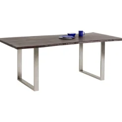 Table Harmony foncé chromé 200x100cm