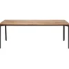 Table Phoenix 220x100cm