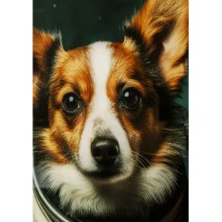 Tableau en verre Astronauts Dogs 80x60cm