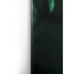 Tableau en verre Mister Lion 150x100cm