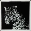Tableau encadré Miroir Leopard 80x80cm