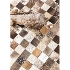 Tapis Cosmo Fur Gris-Brun 170x240cm