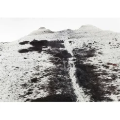Tapis Hide noir-blanc 219x242cm