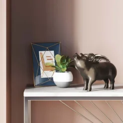 Tirelire Rockstar Pig