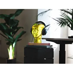Tête décorative transparente ass. 29cm